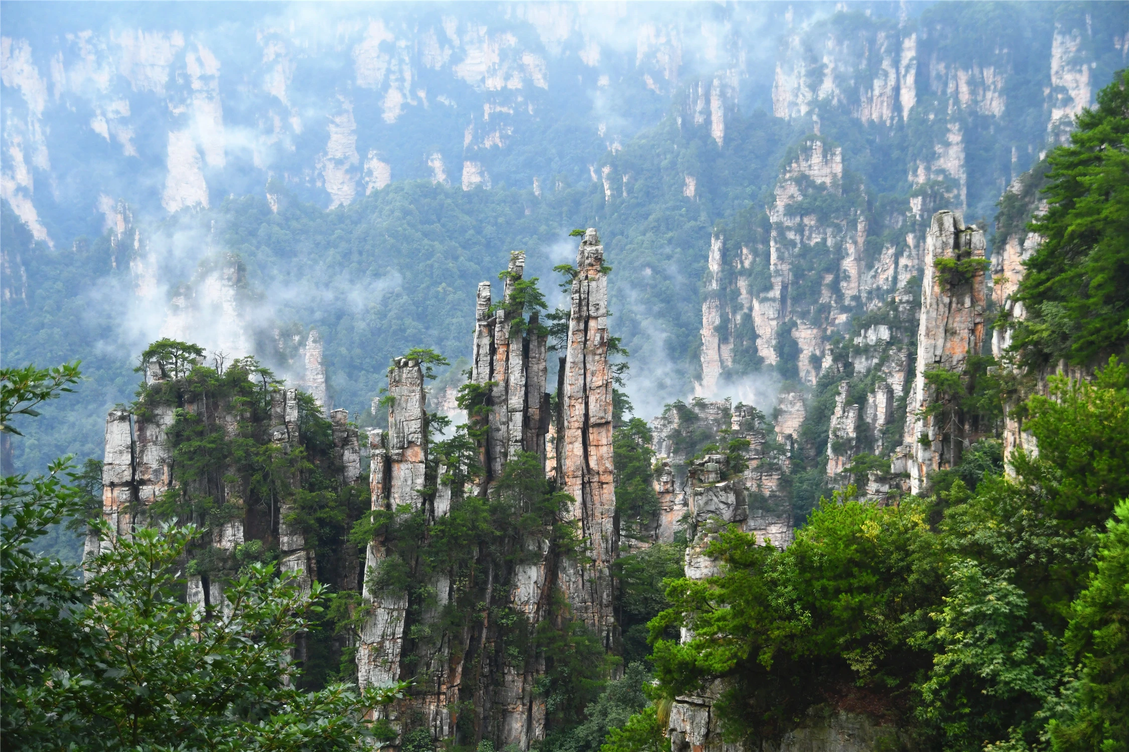 张家界奇峰探秘之旅